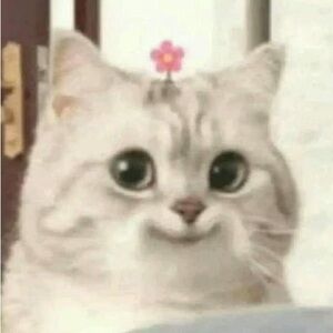 Hi! I’m vicky from CA!